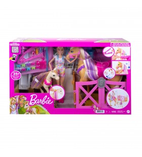 Barbie groom 'n care