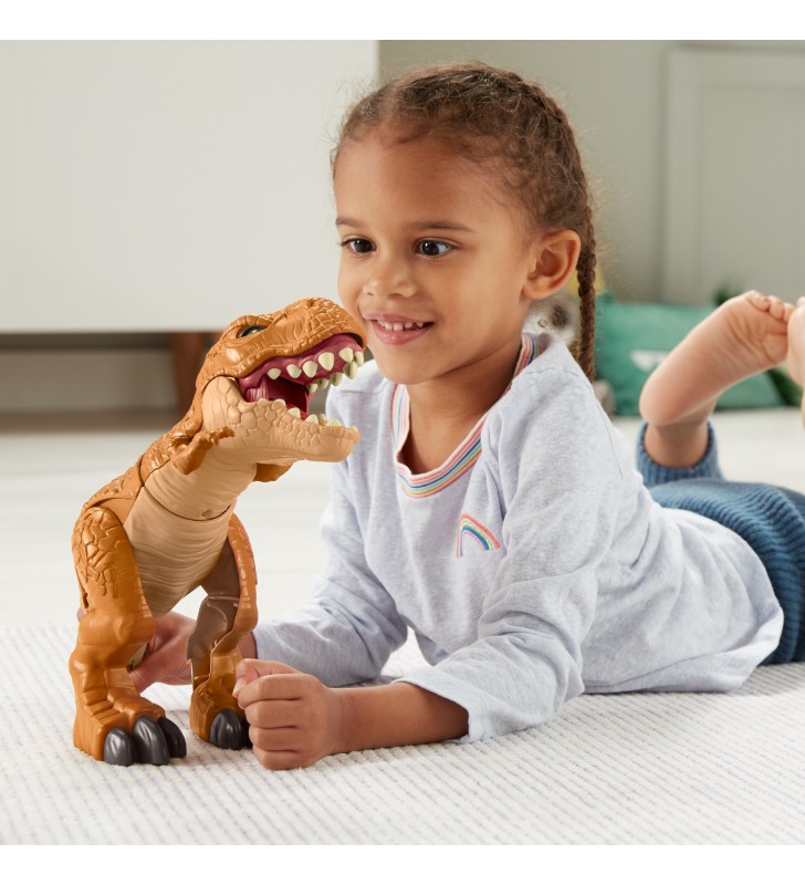 Fisher-price imaginext hfc04 jucării tip figurine pentru copii