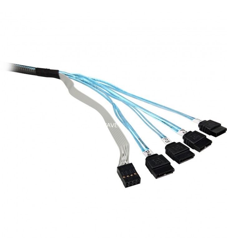 Adapterkabel sff8643  4x satacablu adaptor broadcom  sff8643 - 4x sata (50 cm)