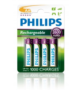 Philips rechargeables baterie r6b4b260/10