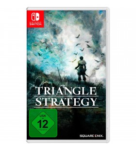 Nintendo  triangle strategy, nintendo switch