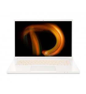 Acer conceptd cn316-73g-72rm notebook 40,6 cm (16") wuxga intel® core™ i7 16 giga bites ddr4-sdram 1000 giga bites ssd nvidia