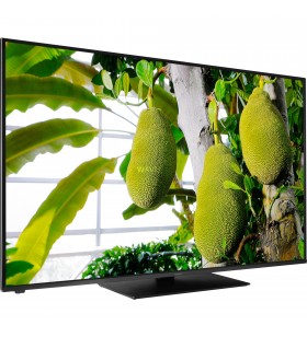 Televizor led panasonic  tx-65jxw604 (164 cm (65 inchi), negru, ultrahd/4k, hdr, dolby atmos)