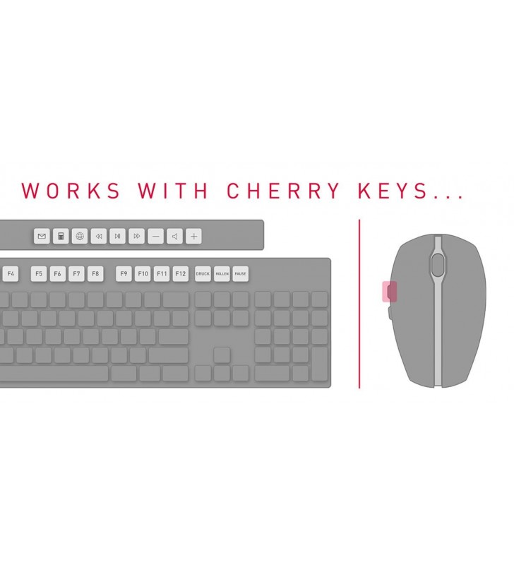 Cherry dw 5100 tastaturi rf fără fir cehă, slovacă negru