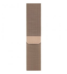 Apple watch accs 44mm/gold milanese loop