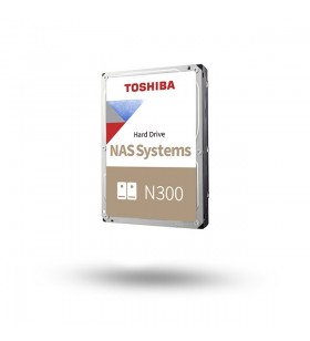 Toshiba n300