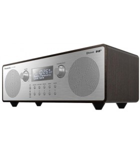 Panasonic rf-d100btegt bluetooth radio