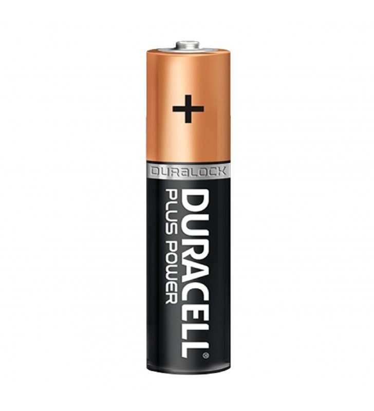 Duracell baterie alcalina special aa (lr6) b20 (200)
