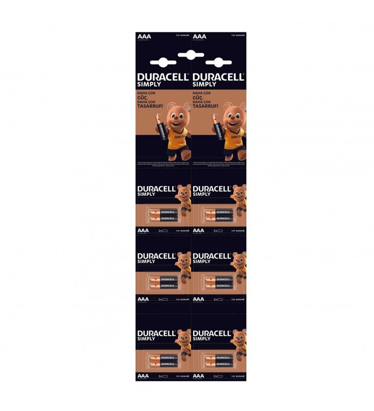 Duracell baterie alcalina special aaa (lr3) b20 (240)