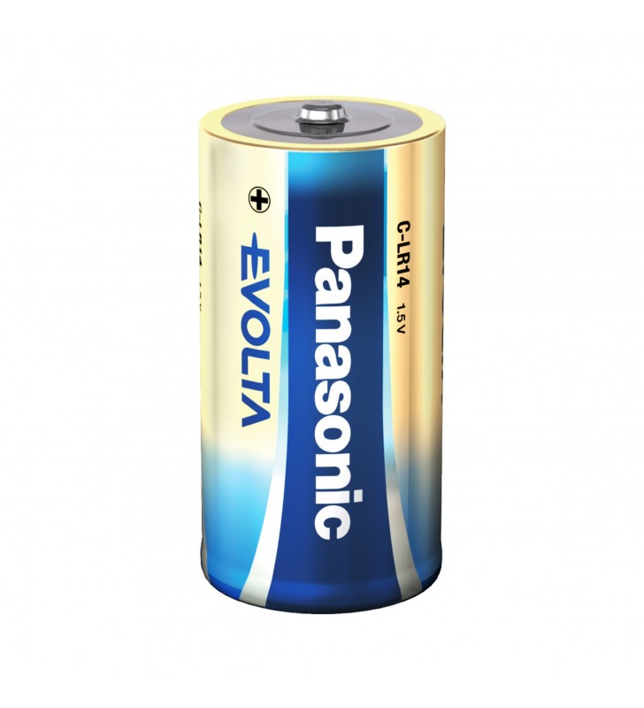 Panasonic baterie alcalina c (lr14) evolta b2 lr14ege/2bp (24/120)
