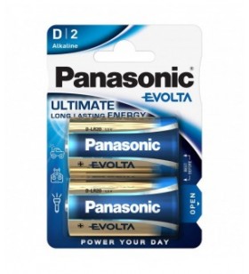 Panasonic baterie alcalina d (lr20) evolta b2 lr20ege/2bp (24/120)
