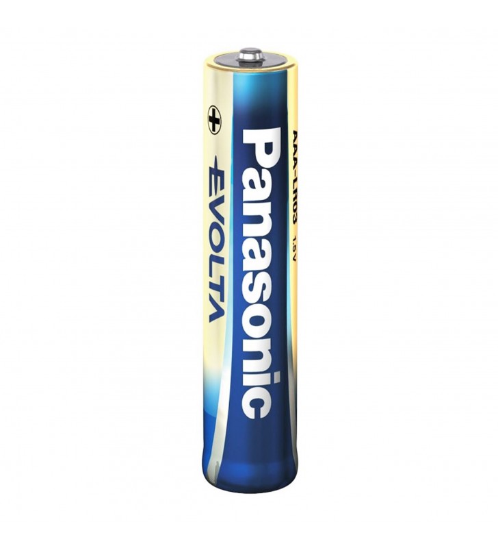 Panasonic baterie alcalina aaa (lr3) evolta b2 lr03ege/2bp (24/120)
