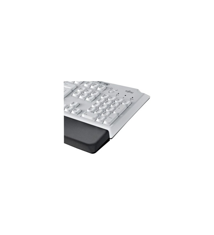 Fujitsu kbpc px eco tastaturi usb alb