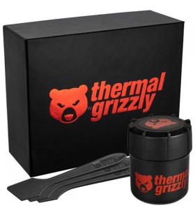 Thermal grizzly kryonaut extreme 33,84 grame, compuși termici