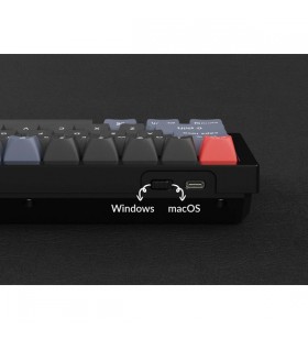 Tastatură pentru jocuri  keychron q4