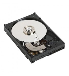 Dell 400-afyb hard disk-uri interne 3.5" 1000 giga bites ata iii serial