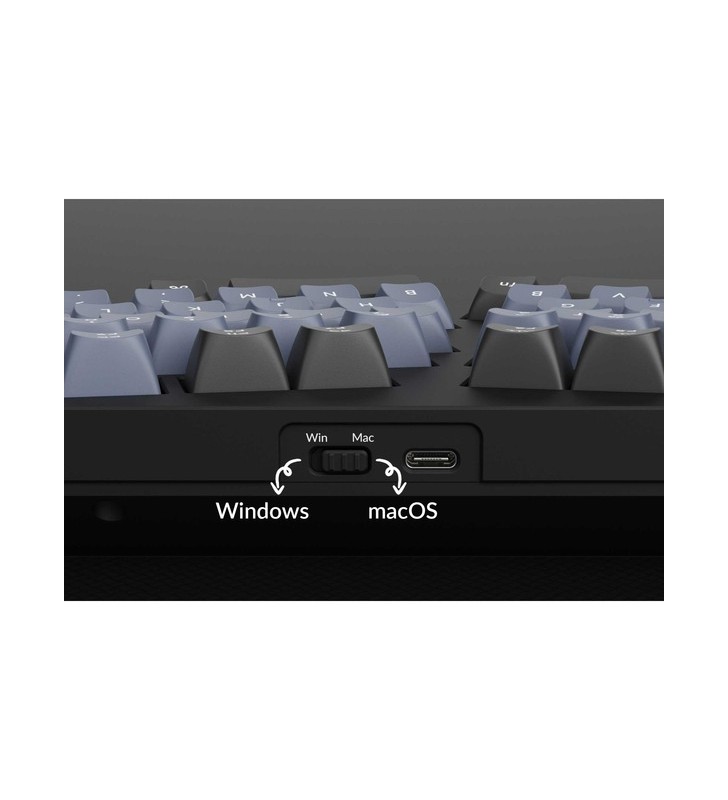 Keychron q10 barebone iso knob, gaming keyboard (blue, alice layout, hot-swap, aluminum frame, rgb)