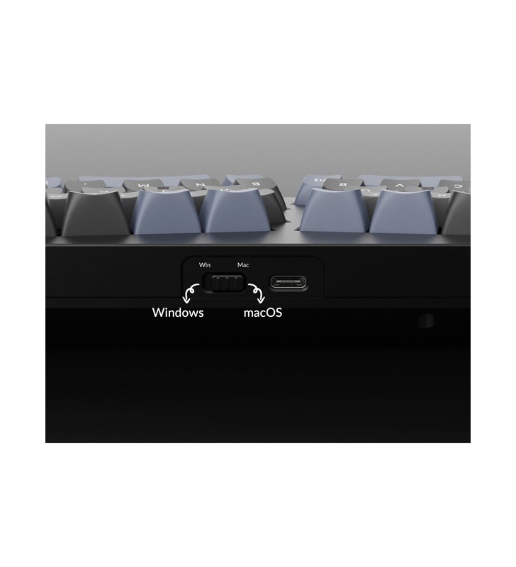 Buton keychron q8, tastatură pentru jocuri (negru/albastru-gri, aspect de, gateron g pro red, aspect alice, hot-swap, cadru de aluminiu, rgb)