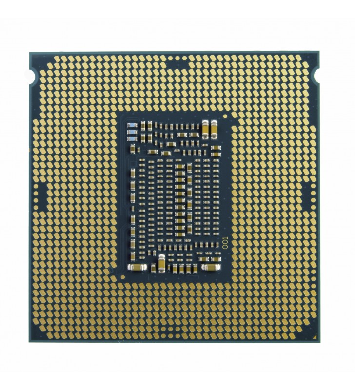 Intel xeon e-2124 procesoare 3,3 ghz casetă 8 mega bites cache inteligent