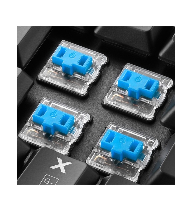 Sharkoon purewriter tkl rgb, tastatură pentru jocuri (negru, aspect de, kailh choc low profile blue)