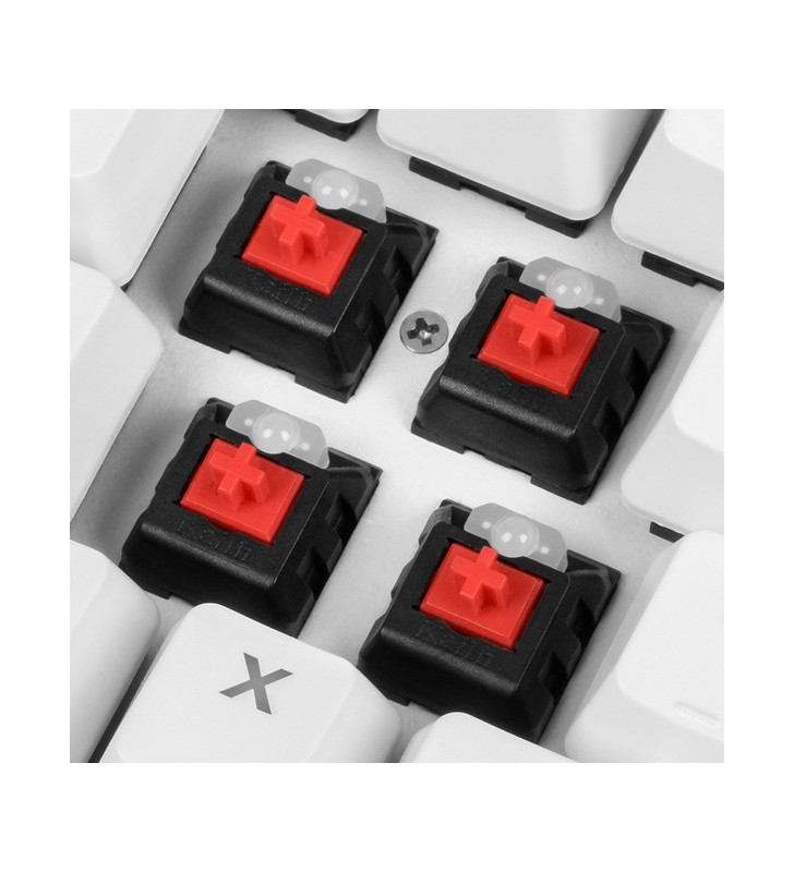Sharkoon skiller sgk3 white, tastatură pentru jocuri (alb, aspect sua, kailh red)