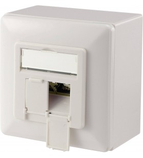Digitus network outlet surface-mount cat 6 2 ports pure white