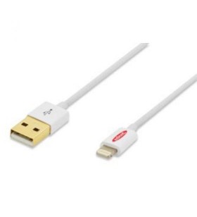 Ednet 31021, apple, ip5 cable, apple 8pin - usb a, 1m