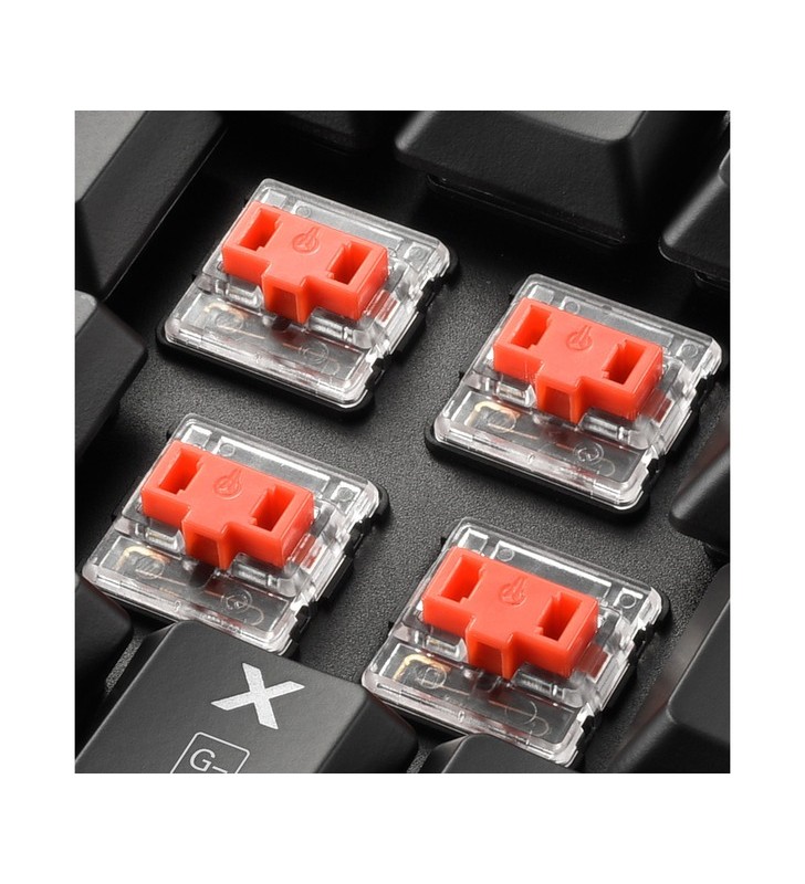 Sharkoon purewriter tkl rgb, tastatură pentru jocuri (negru, aspect de, kailh choc low profile red)