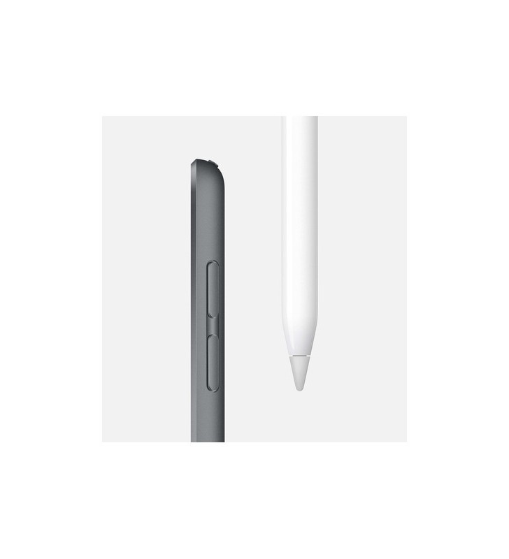 Apple ipad ipad mini, 20,1 cm (7.9 zoll), 2048 x 1536 pixel, 256 gb, 3g, ios 12