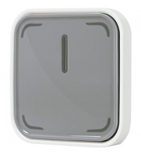Ledvance smart+switch, buton (gri/alb, zigbee)