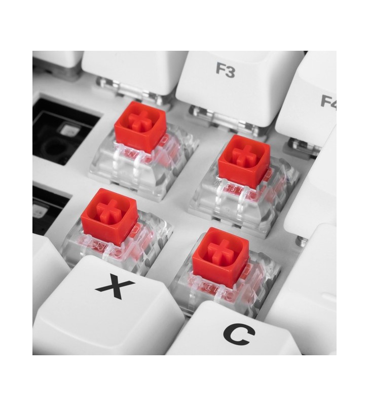 Sharkoon Kailh Box Red Switch Set Comutatoare cu cheie