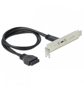 Capac slot DeLOCK USB 3.2 Gen 1, mufa cu 19 pini 0- mufa USB-C (negru, 50 cm)