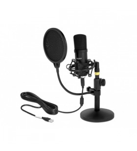 Microfon condensator USB profesional DeLOCK (negru, setat pentru podcasting și jocuri)
