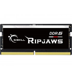 G.SKILL Ripjaws SO-DIMM 16GB 262-Pin DDR5 SO-DIMM DDR5 4800 (PC4 38400) Laptop Memory Model F5-4800S4039A16GX1-RS
