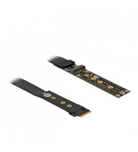 DeLOCK Riser Card M.2 Key M extensie NVMe cu cablu de 20 cm, cablu prelungitor