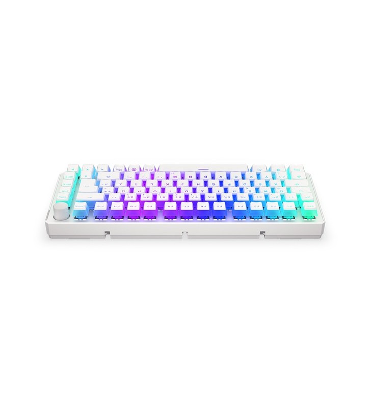 ENDORFY Thock 75% Wireless Onyx White, tastatură pentru jocuri (alb, aspect DE, Kailh BOX Black)