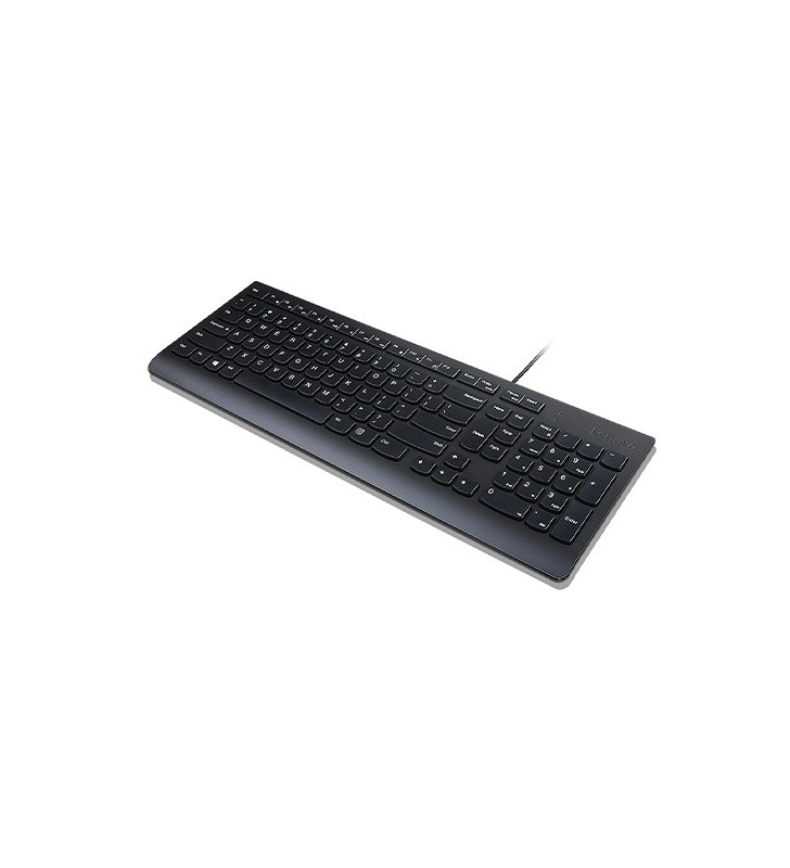 Lenovo Essential tastaturi USB QWERTY Engleză SUA Negru