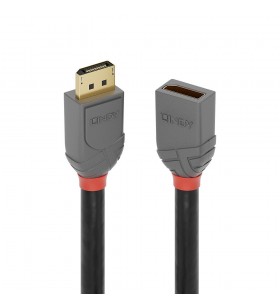 Lindy 36496 cablu DisplayPort 1 m Negru