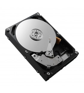 DELL 161-BBRX hard disk-uri interne 3.5" 8 TB SAS
