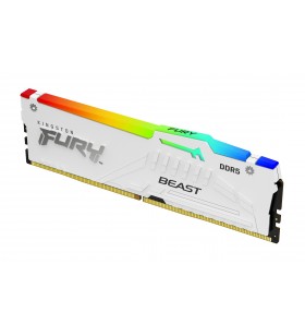 Kingston Technology FURY Beast RGB module de memorie 16 Giga Bites 1 x 16 Giga Bites DDR5