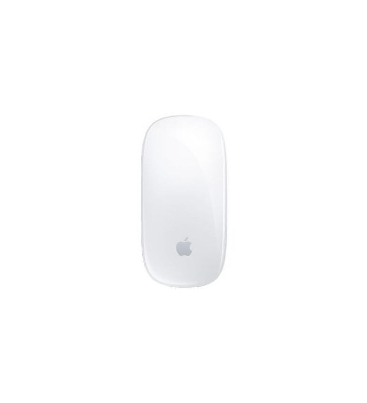 Magic mouse 2/silver in