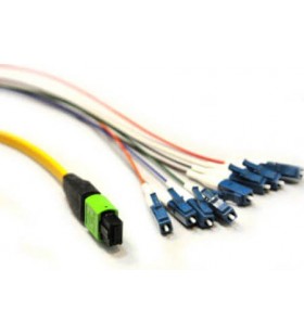 Multi-fiber patchcord/mpo to 8xlc - 4m