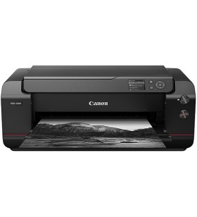 Canon pro1000 printer image prograf