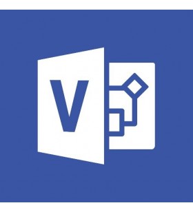 Microsoft visio professional 2019 1 licență(e) multi-lingvistic