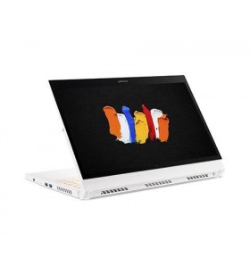 Laptop ultraportabil acer conceptd 3 ezel cc314-72g cu procesor intel® core™ i7-10750h pana la 5.00 ghz, 14", full hd, 16gb, 1tb ssd, nvidia® geforce® gtx 1650 4gb, windows 10 pro, white