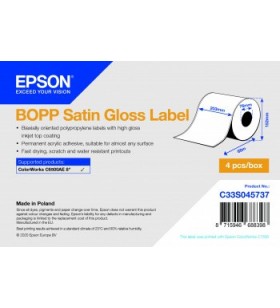 Epson c33s045737 etichete pentru imprimante