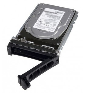 Dell 400-auwk hard disk-uri interne 3.5" 12000 giga bites ata iii serial