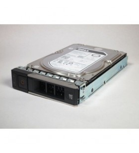Dell 400-bmgp hard disk-uri interne 3.5" 8000 giga bites nl-sas